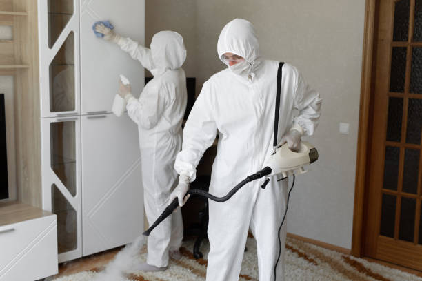 Mold Removal Process in Richmond Heights, MO